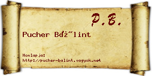Pucher Bálint névjegykártya